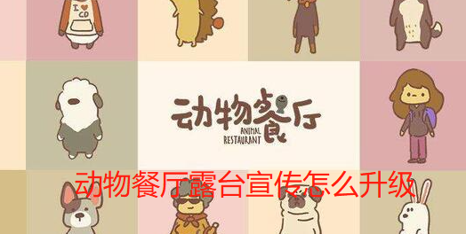 动物餐厅露台宣传怎么升级