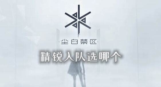 尘白禁区精锐入队选哪个