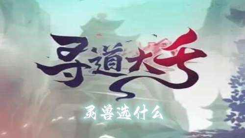 寻道大千灵兽选什么