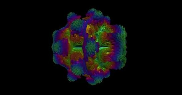 毒蘑菇测试官网