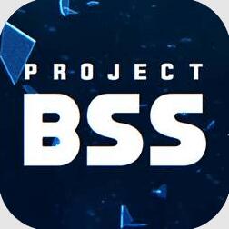 Project BSS上线时间（2024年内）