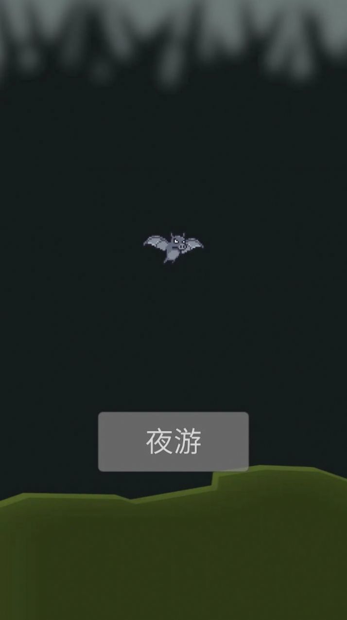 小蝙蝠夜游记
